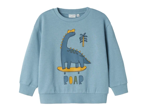 Name It mountain spring dino sweatshirt